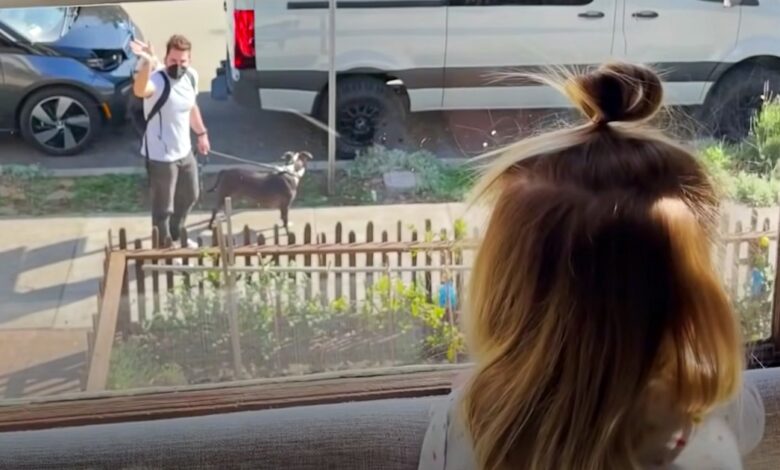 2-year-old dog waves to deaf dog in man's backpack, hoping he will pick her