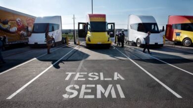 Tesla Skeptic Sale Months After Musk's First Delivery