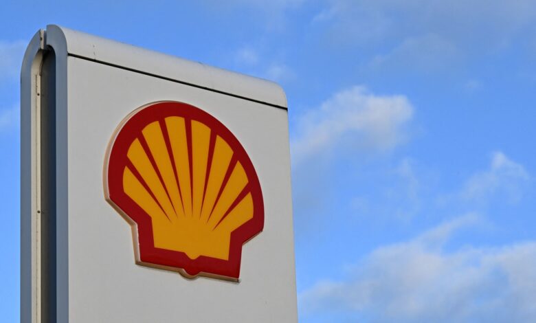 Oil giant reports record annual profit