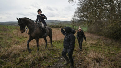 The Fox Hunt: The Cold War in England's Mud Fields