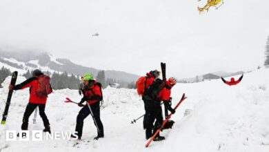 Weekend avalanche kills 10 in Austria and Switzerland