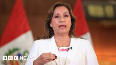 Peru recalls ambassador for Mexico's 'unacceptable' support for Pedro Castillo