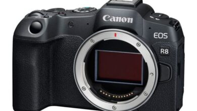 Canon Launches EOS R8 . Mirrorless Camera
