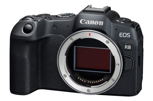 Canon Launches EOS R8 . Mirrorless Camera