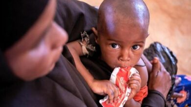 Somalia: Calls for $2.6 billion to support millions amid historic drought and famine