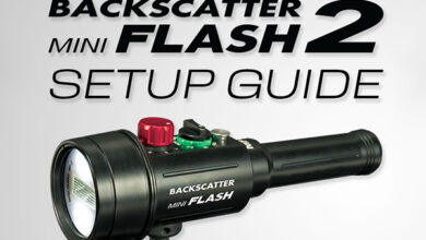 Backscatter Mini Flash 2 How-To Guide: MF-2 and Olympus TG-6