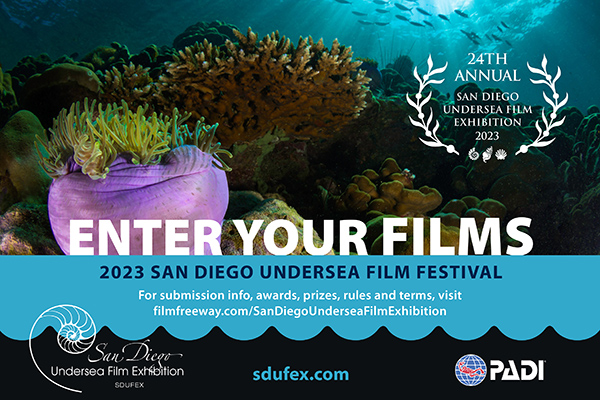 SDUFEX Underwater Film Festival 2023 opens to receive applications