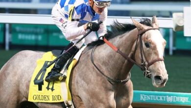 Thirteen new hobbies in KY Derby Future Wager Pool 4