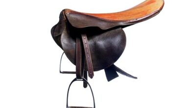 Irsay buys the saddle used in the Secretariat's Triple Crown