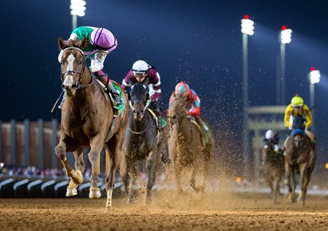 Elite power overwhelms opponents in Riyadh Dirt Sprint