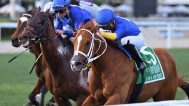 Yes, I am free, an identity shines at Gulfstream