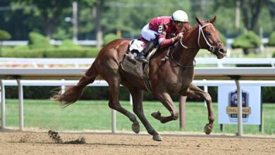 The return of 3-year-old Disarm looks set to open fire in Oaklawn