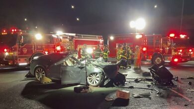 Tesla driver dies after crashing into a fire truck on the highway