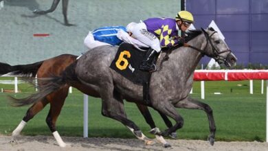 Silver Stripes, Game Change Score at Gulfstream