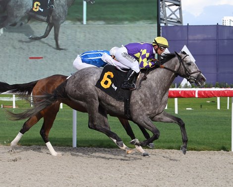 Silver Stripes, Game Change Score at Gulfstream