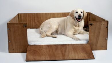What is a Whelping Box for Dogs?  - dog