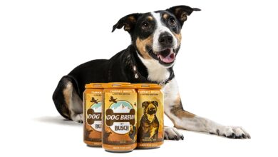 3 dog beers your dog will love - Dogster
