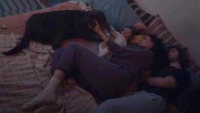 The 2023 Super Bowl ad is sure to bring dog lovers to tears