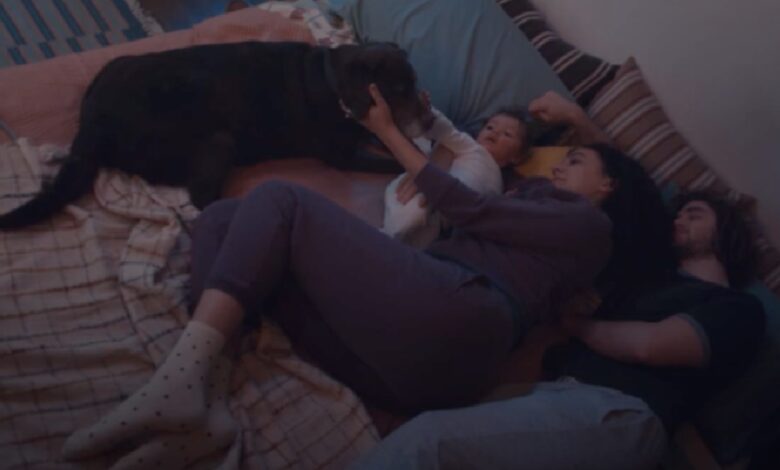 The 2023 Super Bowl ad is sure to bring dog lovers to tears