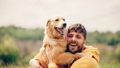 How to build trust with your dog – Dogster