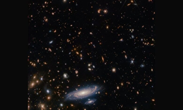 James Webb Telescope captures beautiful spiral galaxy in a galactic field