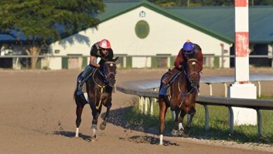 Palm Meadows reopens Main Track for training on February 9