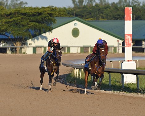 Palm Meadows reopens Main Track for training on February 9