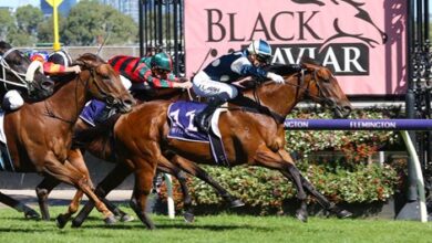 Top Two from Black Caviar Royal Ascot Bound