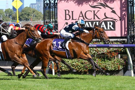 Top Two from Black Caviar Royal Ascot Bound