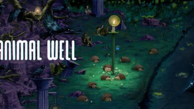 An update on Animal Well and the origin story of its creator