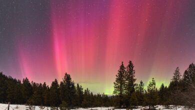 CME strikes Earth, sparking a geomagnetic storm!  The beautiful aurora can be seen even in Washington
