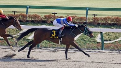 Henny Hughes Colt New Leader in Japan Road to KY Derby