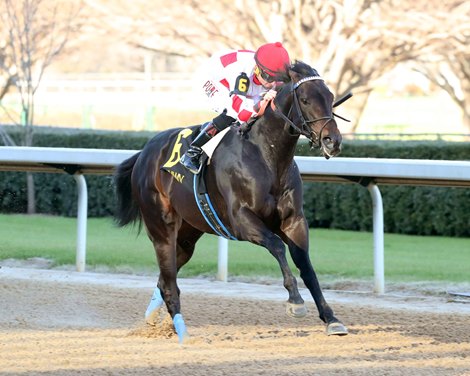 Edge to Edge Rolls at Oaklawn Park, CZ Rocket Second