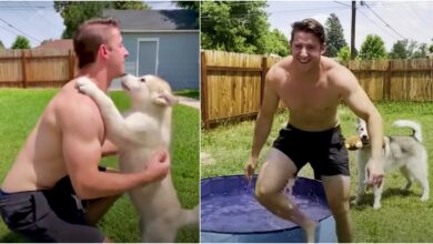 The boy taught his dog how to hug, the dog grew and his father ran