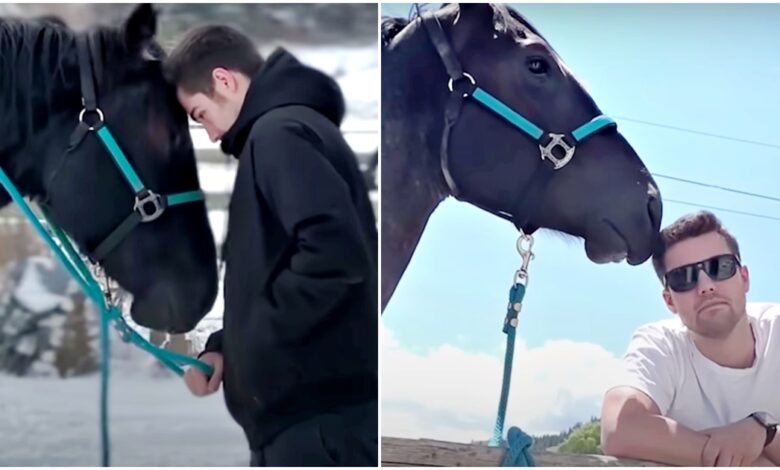 The horse that doesn't like her new mother develops a big crush on her boyfriend