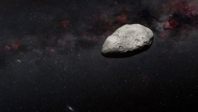 For the first time, NASA's James Webb Telescope Detects Small Main Belt Asteroid