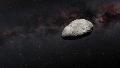 NASA says 110-foot asteroid slams toward Earth on Valentine's Day at 12341kmph