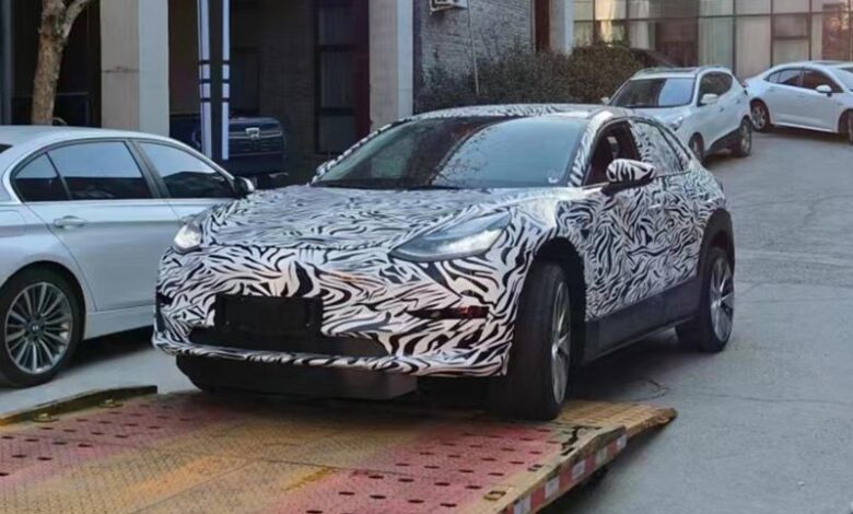 Could this be Tesla's new small car?