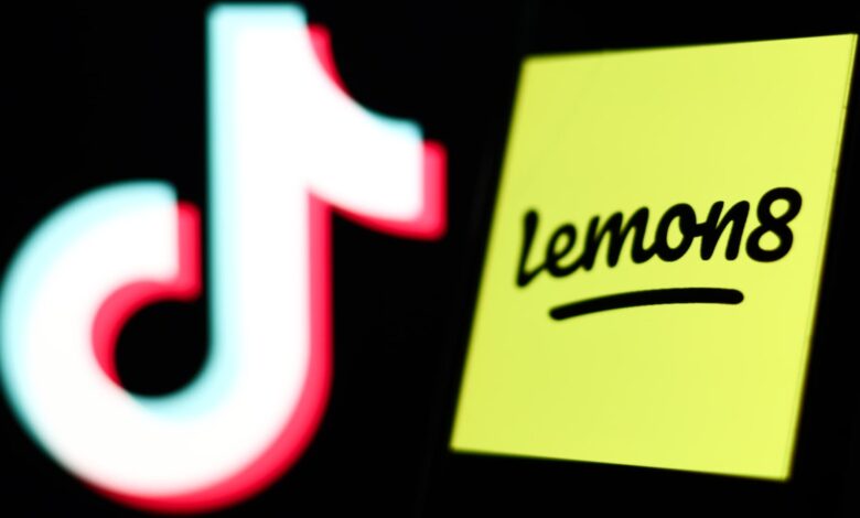 ByteDance pushes Lemon8 app in US as TikTok faces ban