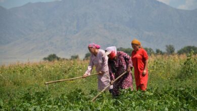 FAO: Gender inequality in food and agriculture is costing 1 trillion USD