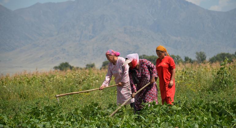 FAO: Gender inequality in food and agriculture is costing 1 trillion USD