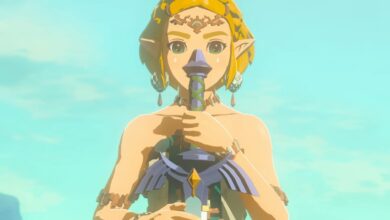 Zelda: Tears Of The Kingdom Switch Download new character intro card