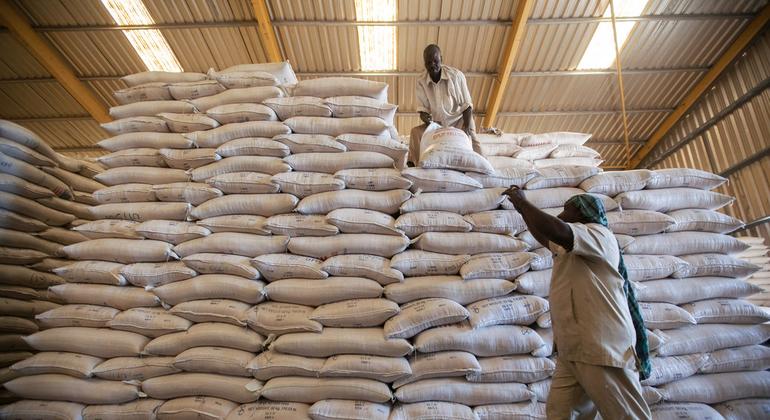 WFP director suspends Sudan aid operations, after death of 3 staff members during unrest