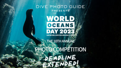 World Oceans Day Contest 2023: Deadline Extension!