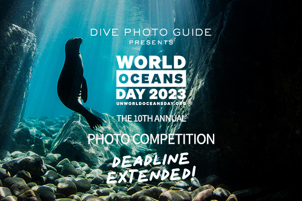 World Oceans Day Contest 2023: Deadline Extension!