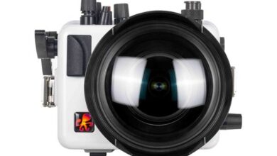 Ikelite announces case for Canon EOS R8