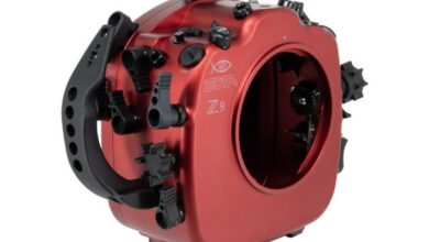 Isotta announces case for Nikon Z9