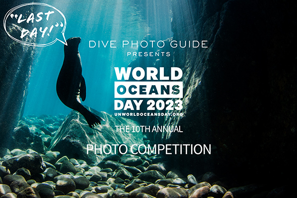 World Oceans Day Contest 2023: Last day to enter!
