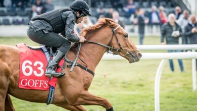 Buyers on Royal Ascot's 2-year-old Trail in Doncaster