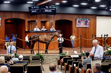 Twirling Candy Colt Wins $800,000 in OBS Spring Sale